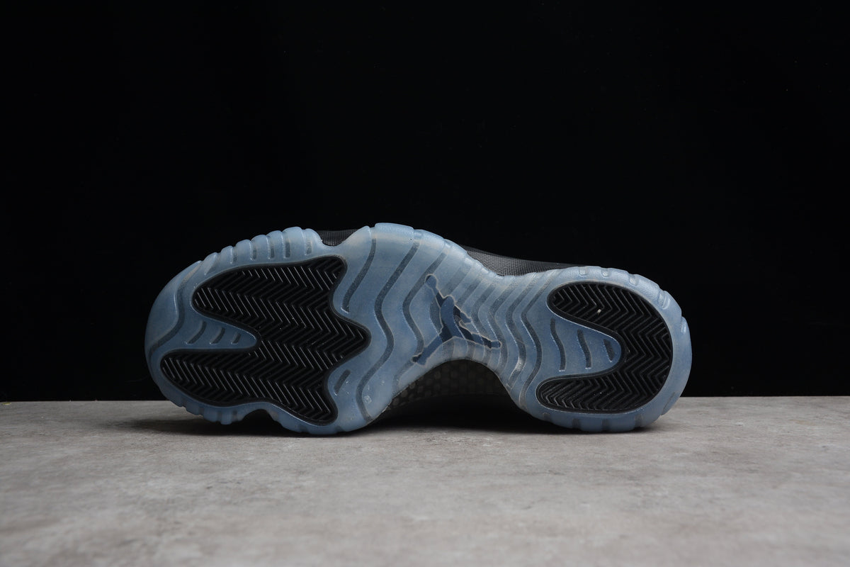 AJ 11 "Gamma Black"