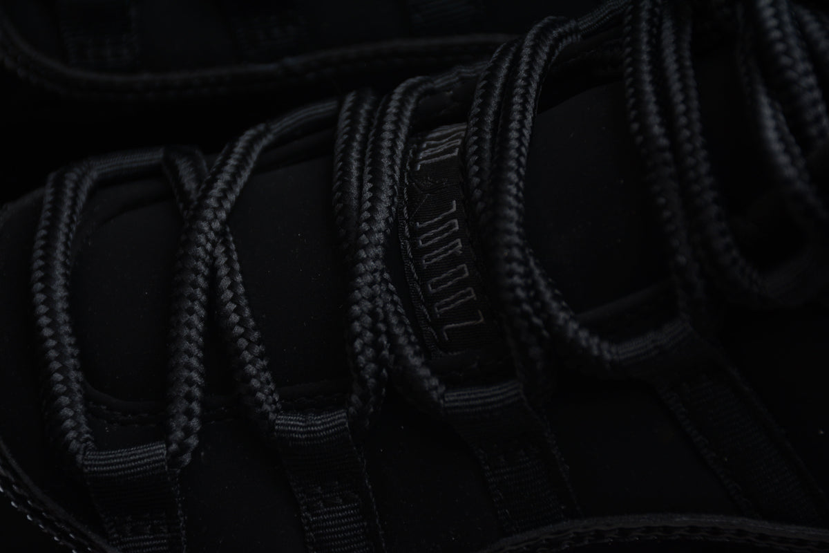 AJ 11 "Gamma Black"